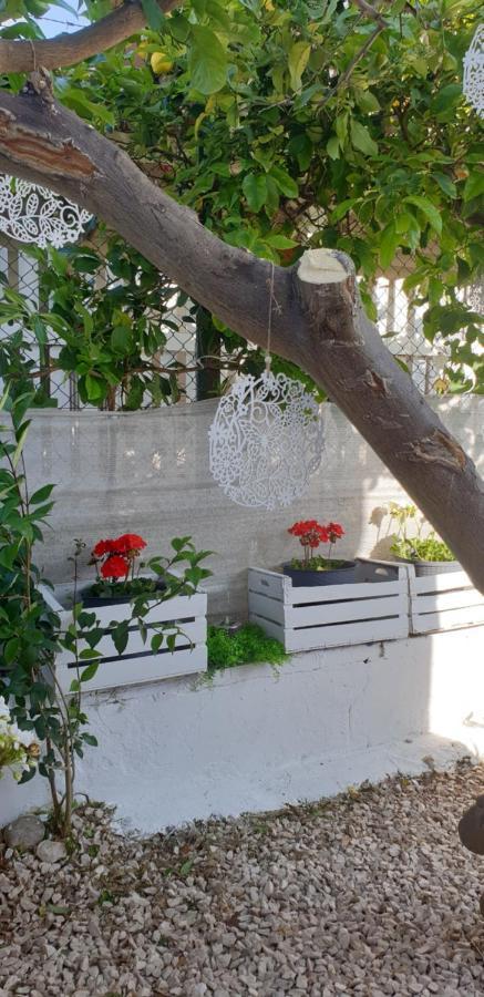 Un Passo Dal Mare Bed&Breakfast San Salvo Marina エクステリア 写真