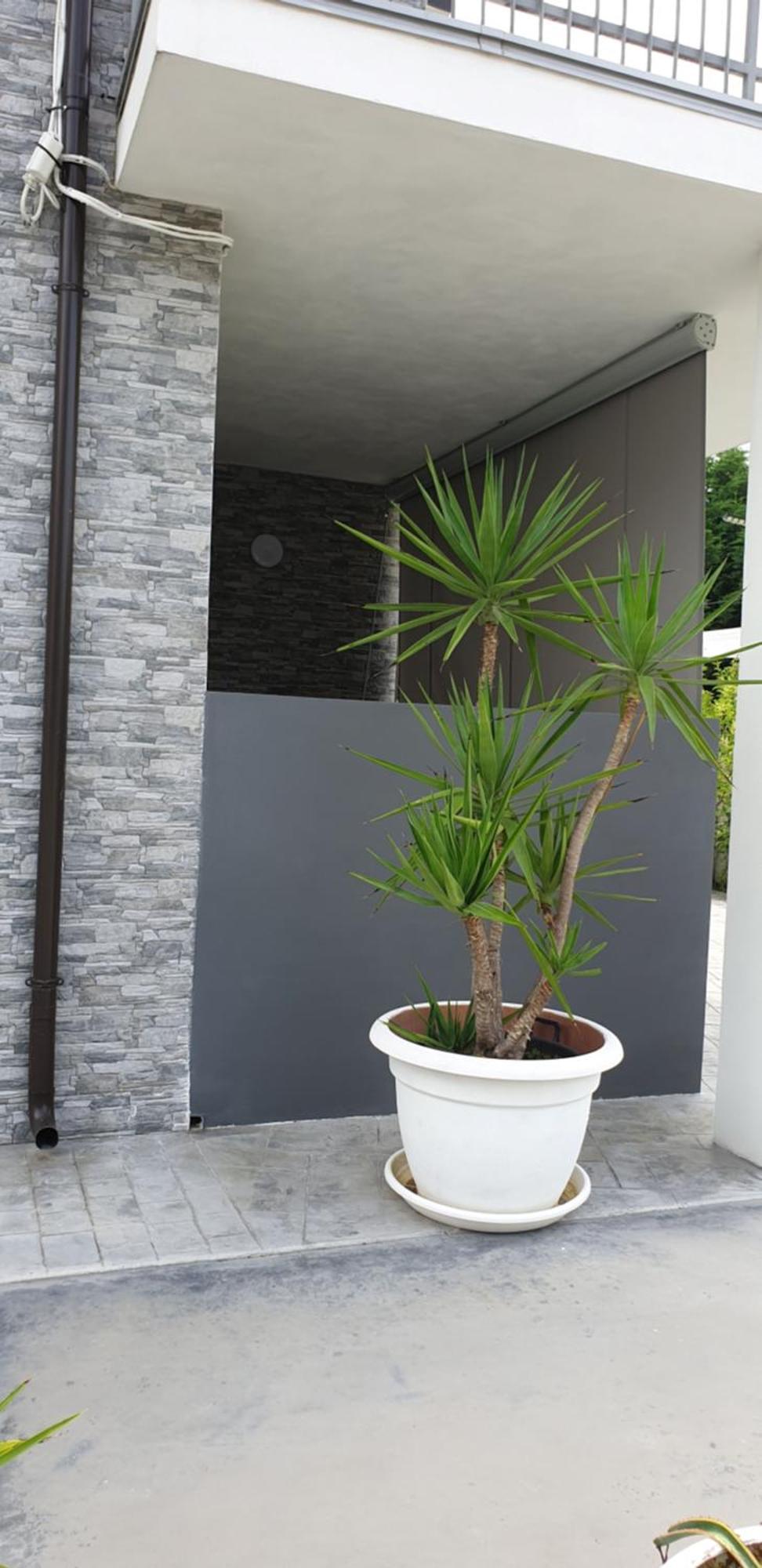 Un Passo Dal Mare Bed&Breakfast San Salvo Marina エクステリア 写真
